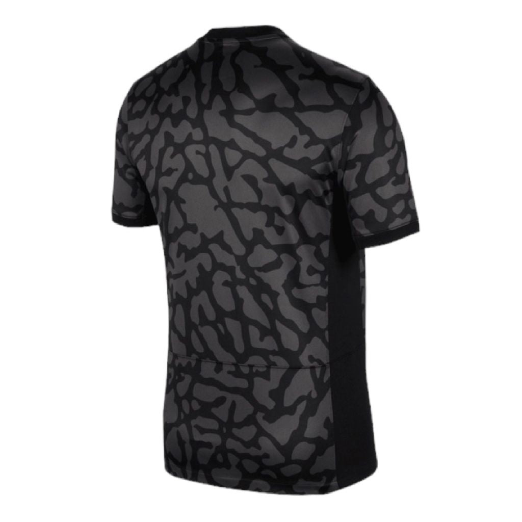 Jersey Jordan Paris Saint-Germain Tercero 23/24 - DX9823 069