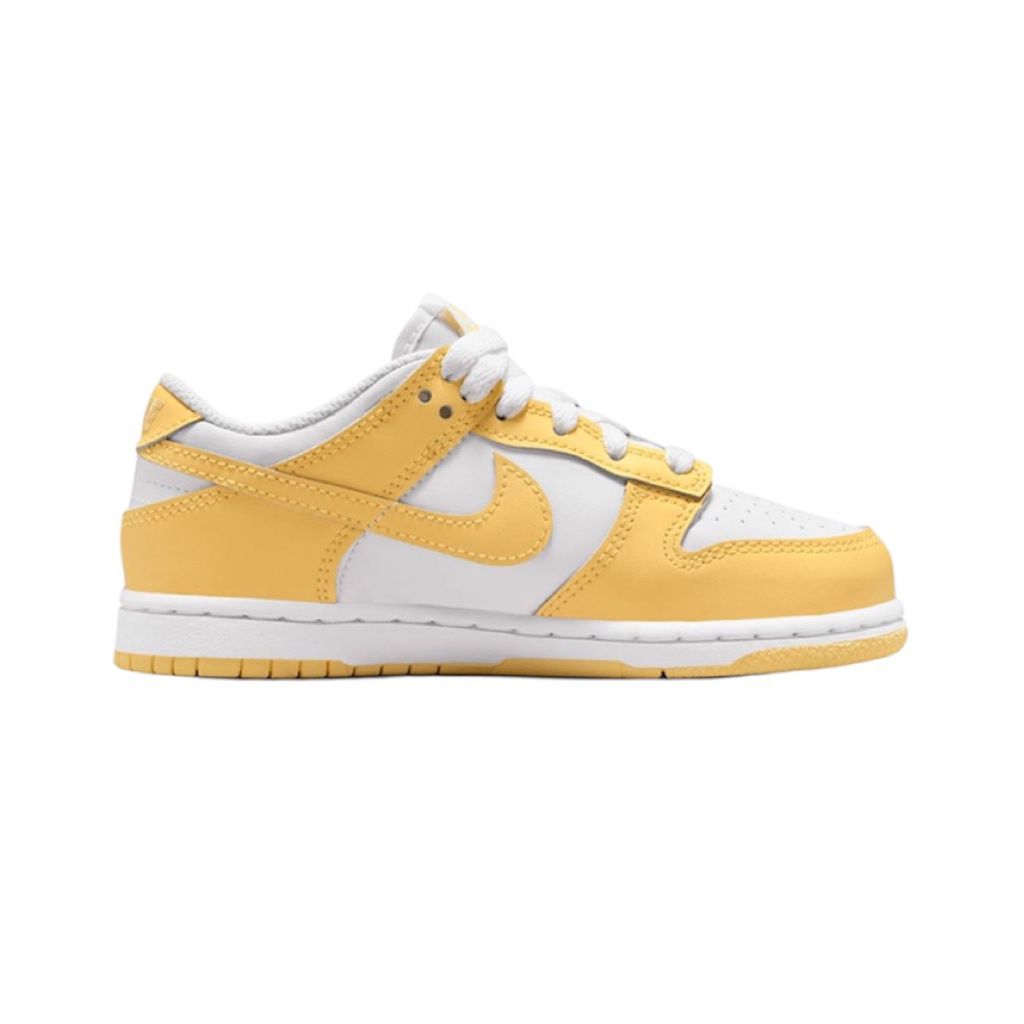 Tenis Nike Dunk Low