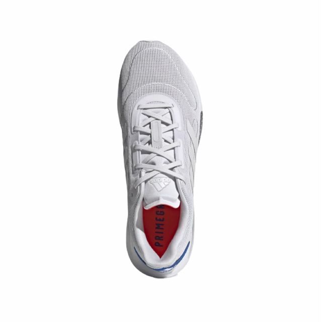Tenis Adidas Galaxar Run FX6884 - Sneakers Online