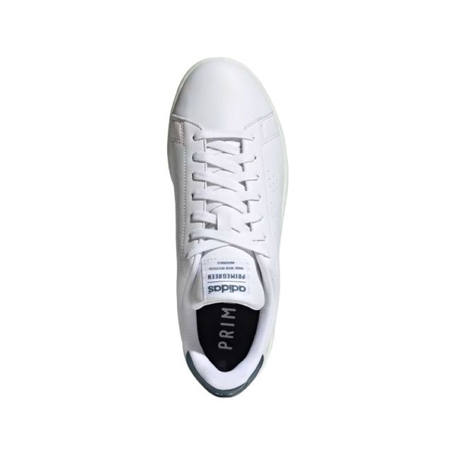 Tenis Adidas Advantage - GZ5302 - Sneakers Online