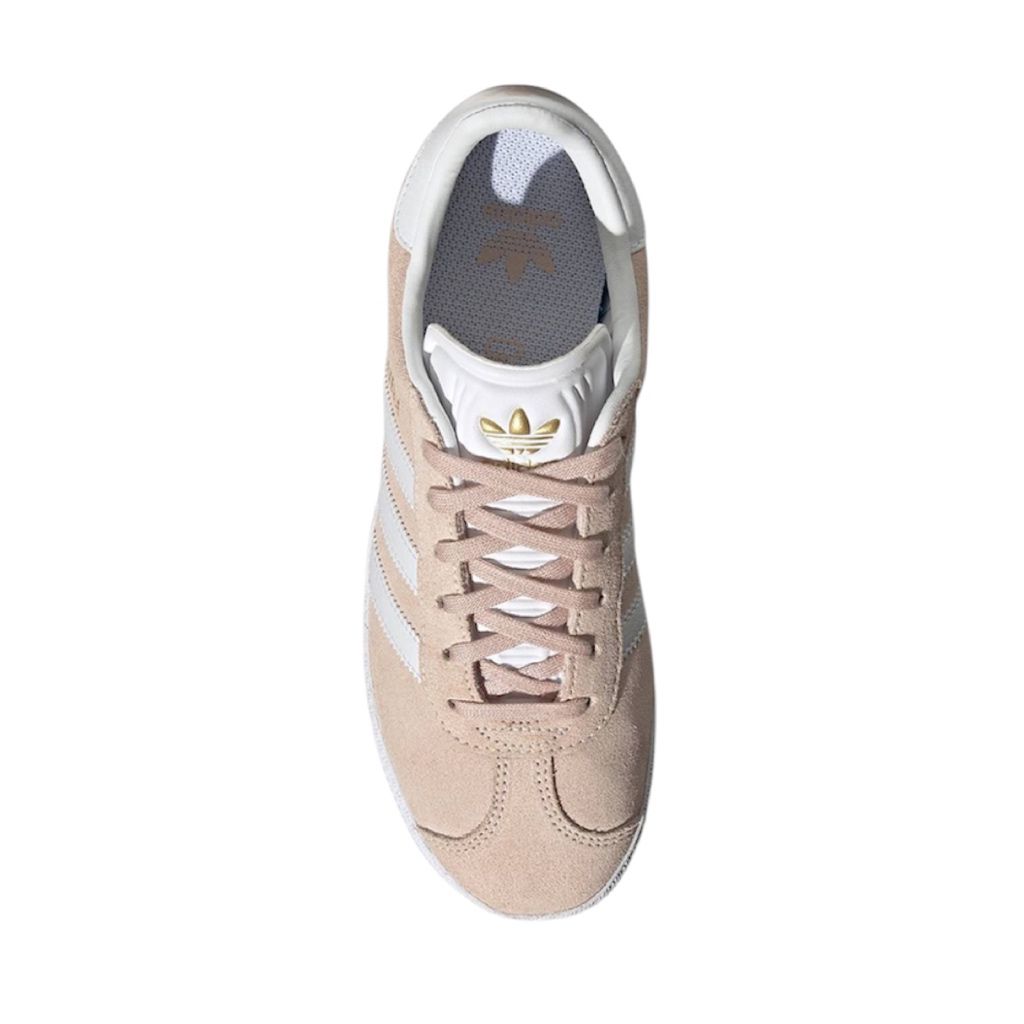 Tenis Adidas Gazelle - H01512 - Sneakers Online